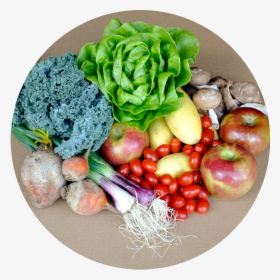Transparent Clipart Fruits And Veggies - Broccoli, HD Png Download, Transparent PNG