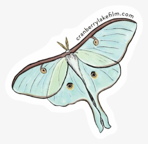 Cranberrylake Sticker Luna - Butterfly, HD Png Download, Transparent PNG