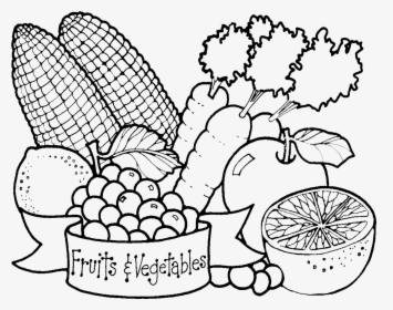 Transparent Vegetable Png - Fruits And Vegetables Drawing, Png Download, Transparent PNG