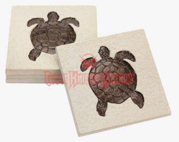 Common Snapping Turtle, HD Png Download, Transparent PNG