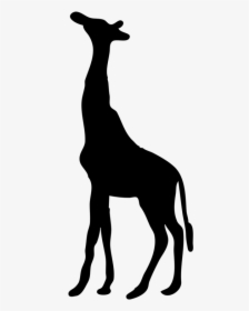 Figure - Giraffe Silhouette Png, Transparent Png, Transparent PNG