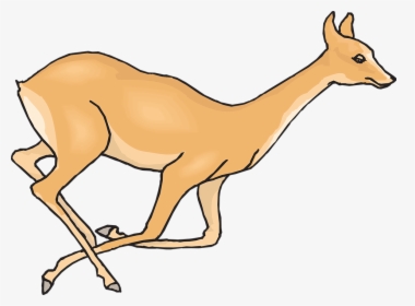 Dear Clipart Hd Animal - Drawing For Running Deer, HD Png Download, Transparent PNG
