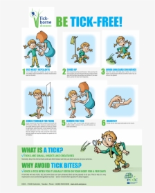 Poster On Ticks For School Children Living In Endemic - Prevention Of Endemic Diseases, HD Png Download, Transparent PNG