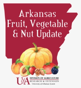 Arkansas Fruit, Vegetable And Nut Update - University Of Arkansas System, HD Png Download, Transparent PNG