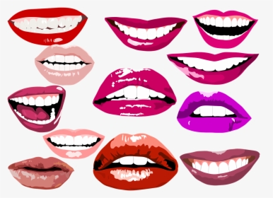 Types Of Mouth And Teeth, HD Png Download, Transparent PNG