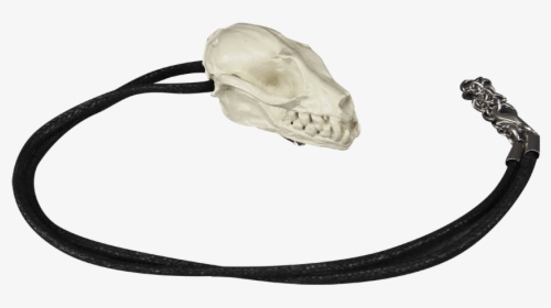 Bat Skull Necklace Pin - Wire, HD Png Download, Transparent PNG