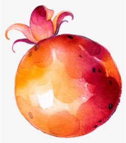 Fruit Vegetable Drawing - Drawing Of Fruit And Vegtables, HD Png Download, Transparent PNG