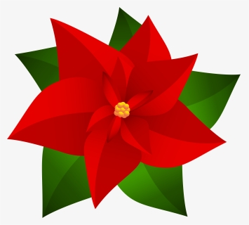 Poinsettia Transparent Snow - Drawing Of Christmas Flowers, HD Png Download, Transparent PNG