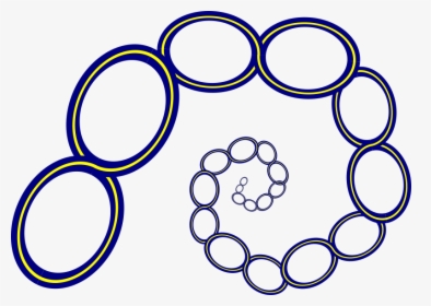 Circles In A Circle Silhouette, HD Png Download, Transparent PNG