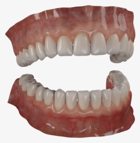 Transparent Wolf Teeth Png - Teeth Modeling, Png Download, Transparent PNG