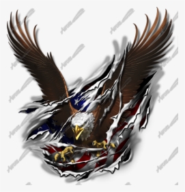American Flag Eagle Rip, HD Png Download, Transparent PNG