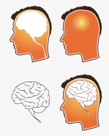 Human Brain Png - Free Vector Brain, Transparent Png, Transparent PNG