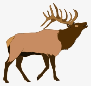Elk Deer Illustration Vector Graphics Moose - Elk Clipart Png, Transparent Png, Transparent PNG