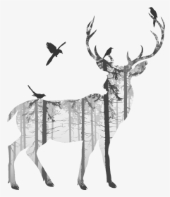 Deer Photography Transprent Png Free Download Black - Deer Drawing, Transparent Png, Transparent PNG