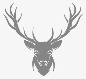 Moose, Elk Png - Stag Stencil, Transparent Png, Transparent PNG