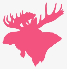 Just Really Like Moose, HD Png Download, Transparent PNG