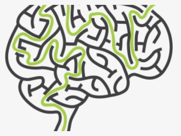 Maze Clipart Brain - Maze Shaped Like A Brain, HD Png Download, Transparent PNG