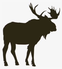 Home North River Outfitting - Moose Vector, HD Png Download, Transparent PNG