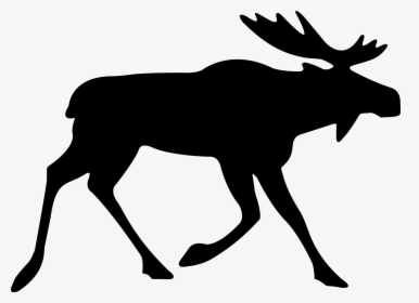 Collection Of Free Elk Vector Line Art - Elk Free Vector, HD Png Download, Transparent PNG