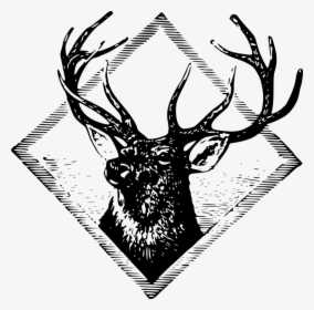 Elk,head,blackandwhite - Gambar Logo Rusa, HD Png Download, Transparent PNG