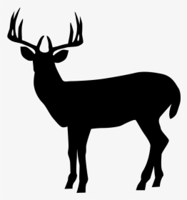 Silhouette Roe Deer Clip Art Illustration Elk - Deer Silhouette Transparent Background, HD Png Download, Transparent PNG