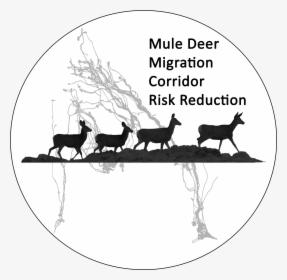 Mule Deer , Png Download - Cartoon, Transparent Png, Transparent PNG