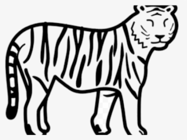 Easy Tiger Clipart Cool Cliparts Stock Vector And Transparent - Draw A Easy Tiger, HD Png Download, Transparent PNG