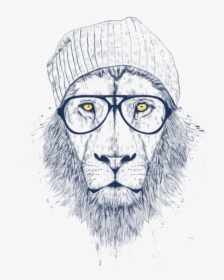 Balazs Solti Lion, HD Png Download, Transparent PNG