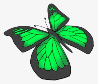 Green Butterfly Drawing - Green Butterfly Transparent Background, HD Png Download, Transparent PNG