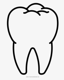 Tooth Coloring Page - Diente Para Pintar, HD Png Download, Transparent PNG