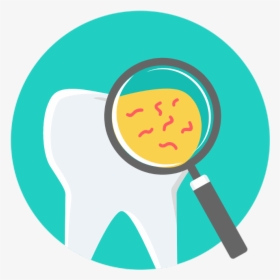 Dentist Tooth - Circle, HD Png Download, Transparent PNG