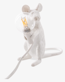 Mouse Lamp, Sitting - Mouse, HD Png Download, Transparent PNG