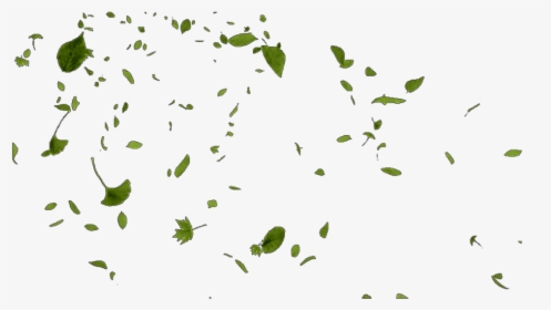 #leaves #leaf #wind #windy #blow #blew #float #drift - Green Leaves Blowing In The Wind Png, Transparent Png, Transparent PNG