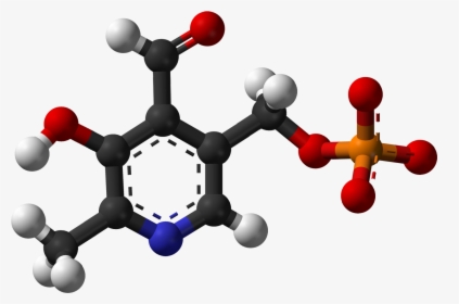 Pyridoxal Phosphate 3d Balls - Ball And Stick Model Of Xylene, HD Png Download, Transparent PNG