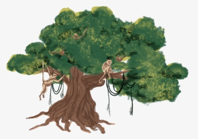 Banyan Tree - Illustration, HD Png Download, Transparent PNG
