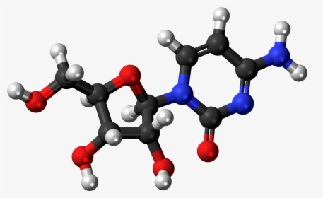 Cytidine 3d Ball - Nucleic Acid 3d Model, HD Png Download, Transparent PNG