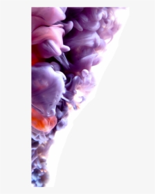 Grape, HD Png Download, Transparent PNG