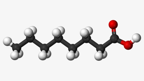 File - Caprylic Ac - Oil Molecule, HD Png Download, Transparent PNG