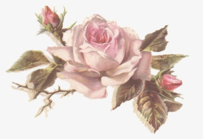Vintage Flores Rosadas, HD Png Download, Transparent PNG
