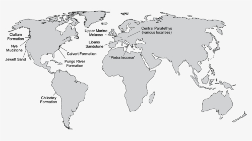 18154 - World Map Free Transparent, HD Png Download, Transparent PNG