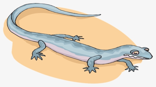 Salamander Amphibians Cartoon, HD Png Download, Transparent PNG