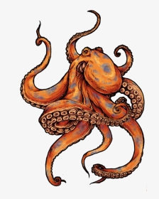 Octopus - Color Octopus Tattoo, HD Png Download, Transparent PNG