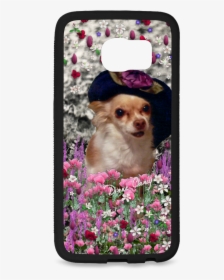 Chi Chi In Pink White Flowers, Chihuahua Puppy Dog - Puppy, HD Png Download, Transparent PNG