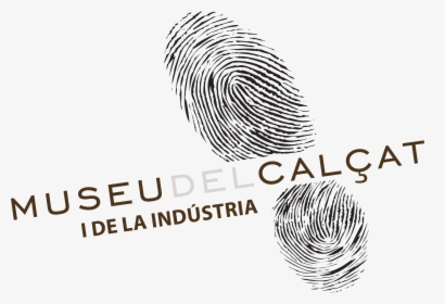 Graphic Design, HD Png Download, Transparent PNG