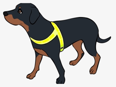 Working Dog, HD Png Download, Transparent PNG