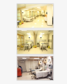 South City Hospital Karachi Pakistan Certificate - Cafeteria South City Hospital, HD Png Download, Transparent PNG