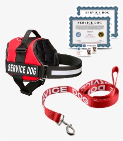 Service Dog Harness , Png Download - Emotional Support Service Dog Vest, Transparent Png, Transparent PNG