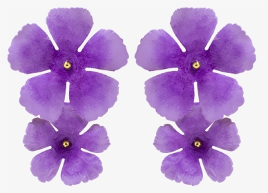 Periwinkle, HD Png Download, Transparent PNG