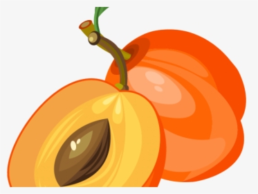 Peach Clipart Apricot - Fruit Clip Art Png, Transparent Png, Transparent PNG