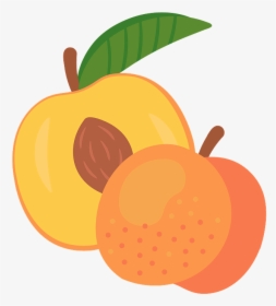 Peach Clipart, HD Png Download, Transparent PNG